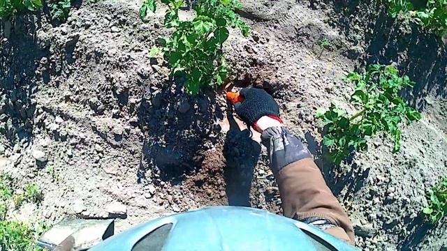 КОПАЕМ с ВАНКВИШ 340  /  VANQUISH 340 + SPHINX Magnetic 02