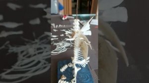 Что можно зделать из Костей рыбы, своими руками!? Разных гоблинов!!! поделки из Костей рыб ☝