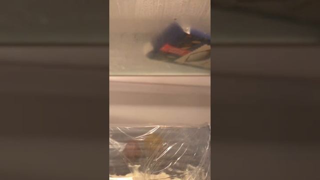 Торт-«Селедка под шубой»??Рецепт в закреплённом комментарии??#селедкаподшубой #2023 смотреть онлайн