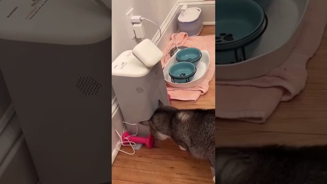 Когда не ладишь с техникой смотреть онлайн