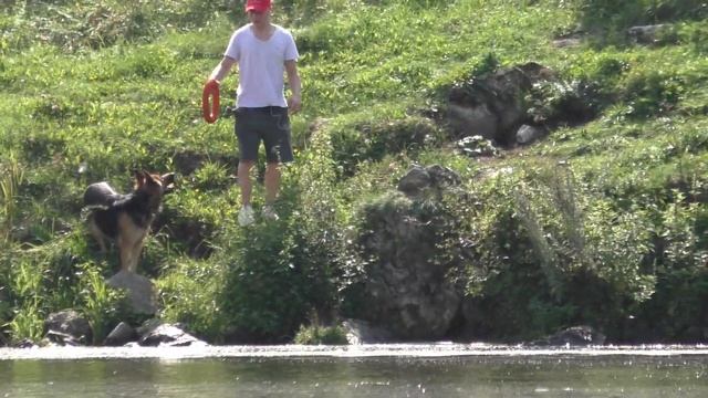 рыбалка август 2020 на поплавок тв Каменске-Уральском. И даже в жару результат есть! смотреть онлайн