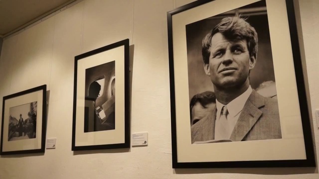 выставка Стива Шапиро смотреть онлайн