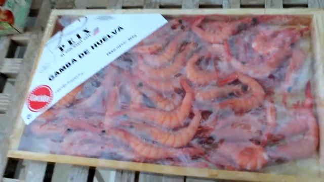 Какие креветки лучше покупать в Испании? смотреть онлайн