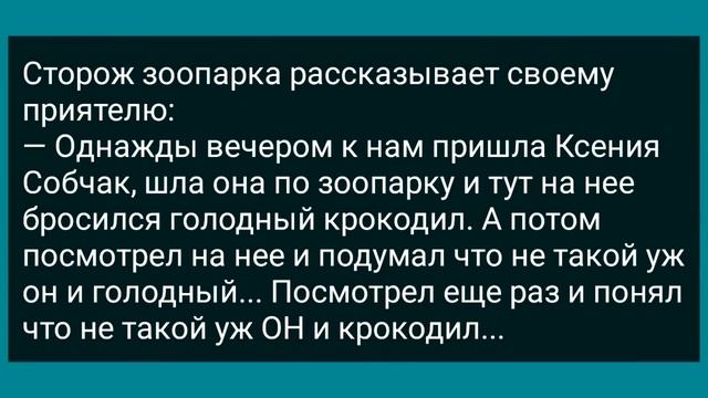 Зять Пришел к Теще за Огурцами! Сборник Свежих Анекдотов! Юмор! смотреть онлайн