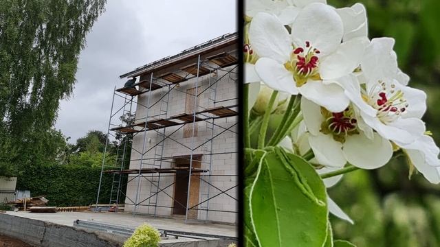 Как самому построить дом. Часть 4. Фундамент пристройки, отделка "Короедом" смотреть онлайн