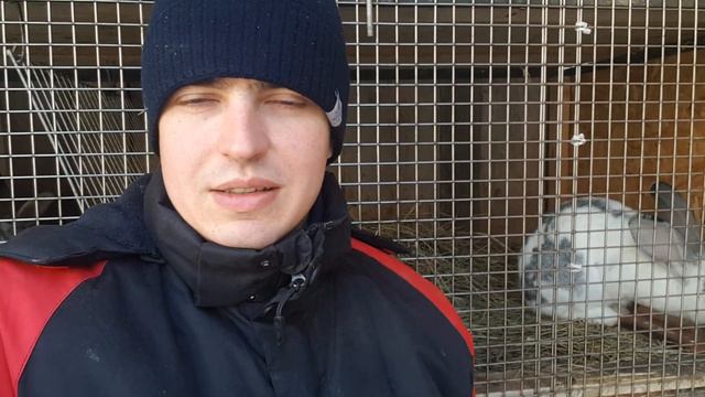 Окрол крольчихи с летальным исходом. Прошу дельного совета. HELP ME) смотреть онлайн