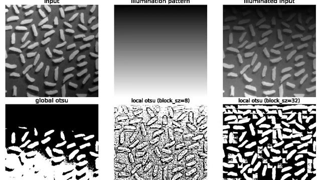 Binary Segmentation | Corrupted Images | Local Thresholding | Flat-Field Correction | python смотреть онлайн