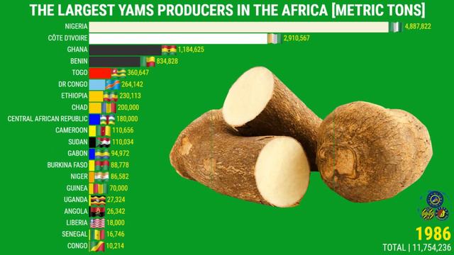 THE LARGEST YAMS PRODUCERS IN THE AFRICA смотреть онлайн