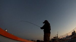 Ловля судака на дропшот.