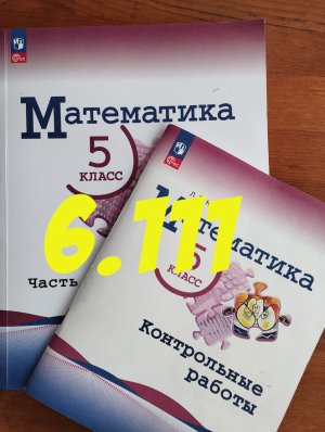 математика 5 класс номер 6.111