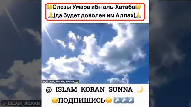 История Пророка Мухаммада (с.а.в) смотреть онлайн