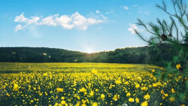 Rüyada Eşini Çıplak Görmek, Rüyada Eski Eşini Çıplak Görmek, Rüya Tabiri
