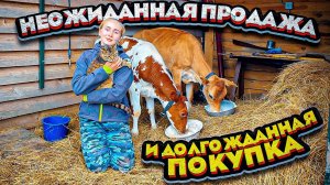 К нам Приехал Папа!!! Нам предстоит ОЧЕНЬ МНОГО Дел!!! Неожиданная Продажа и ДОЛГОЖДАННАЯ ПОКУПКА