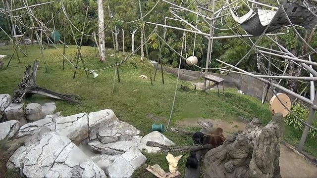 Три девицы под окном пряли поздно вечерком смотреть онлайн