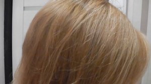 Taft Стайлинг пудра Мгновенный прикорневой обьем