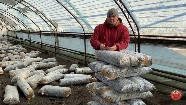 Производим мульчирование! Важнейший этап в подготовки к высадки!!! смотреть онлайн