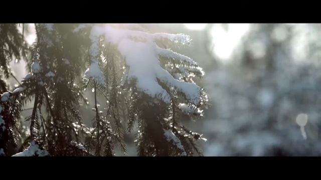 “Talveluuled“ / «Зимние стихи» смотреть онлайн