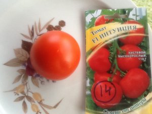 Томат ИНТУИЦИЯ. Дегустация