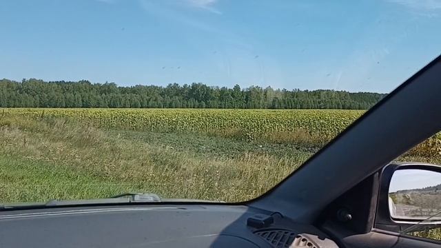 ЛЕЧИМ ЗУБЫ ДИАНЕ#ВАРИМ КУКУРУЗУ#РОССИЯ ЩЕДРАЯ ДУША смотреть онлайн