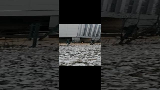 VID_20221125_стройка[1].mp4 смотреть онлайн