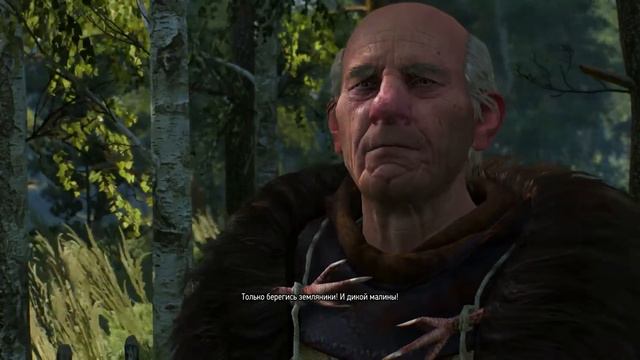 The Witcher 3 Wild Hunt Квест Последняя Услуга смотреть онлайн