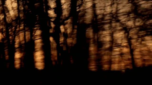 Flëur - Будь моим смыслом 1 час / 1 hour 🌾🌅 смотреть онлайн
