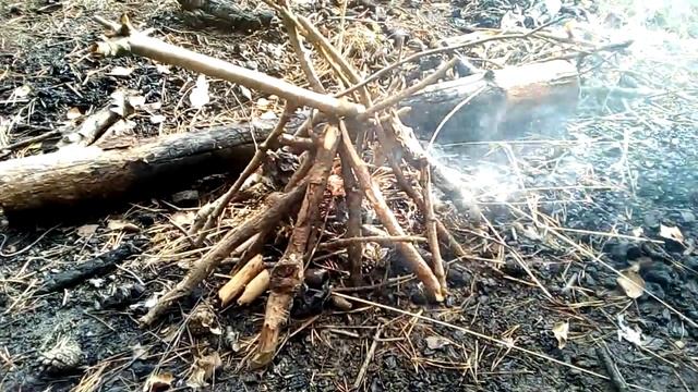 Тур в Правдинский лес смотреть онлайн