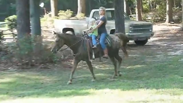 "Kid" Experience Ranch Pony смотреть онлайн