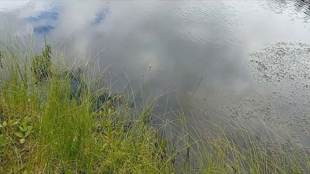 Тестирование искусственного червя от Berkley