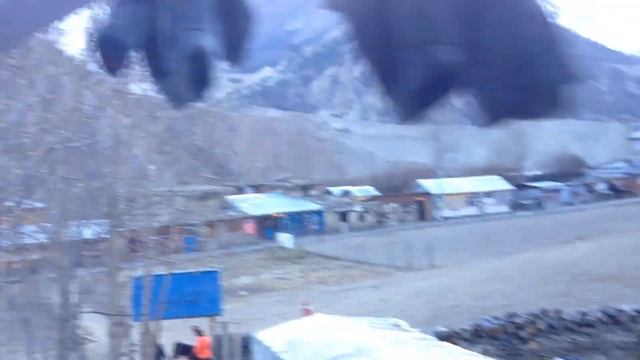 Мананг. Прогулка (3 видео) смотреть онлайн