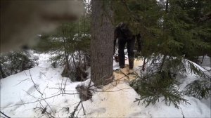 Винтовой валочный клин 3