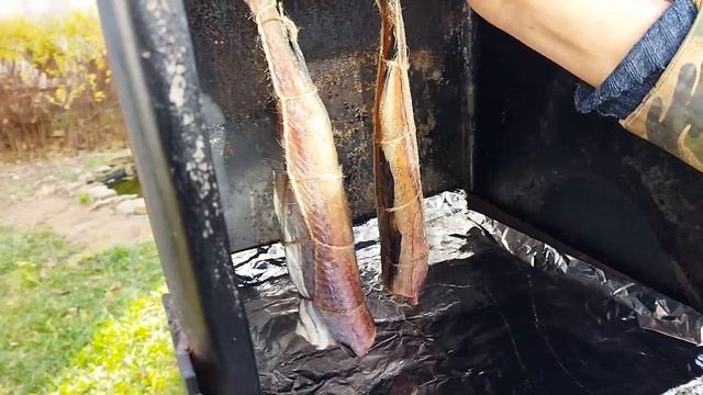 Забавные Зверушки