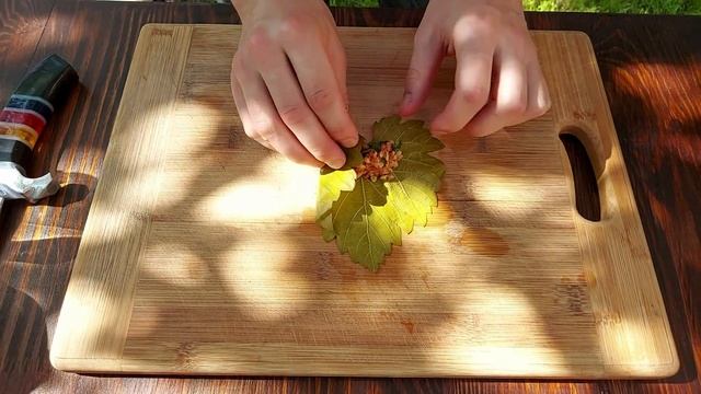 Путешествия Вокруг Света