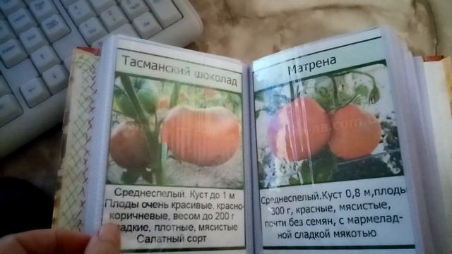 Как я Храню СЕМЕНА ТОМАТОВ и ОГУРЦОВ в Фотоальбоме. 12.12.2019г.. смотреть онлайн