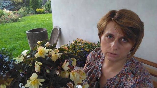 Если петуния надоела...Растения для контейнеров смотреть онлайн