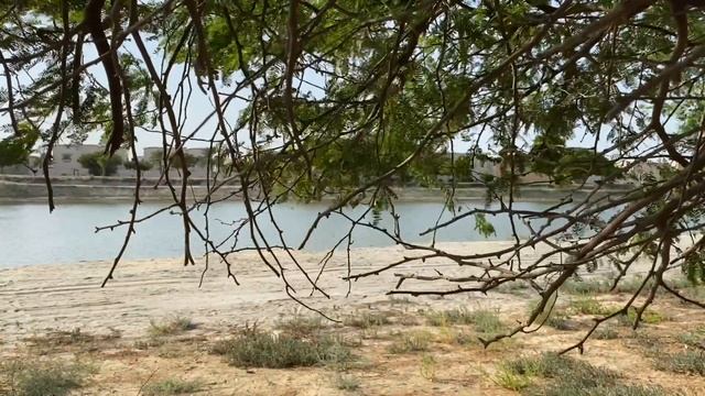 Beautiful Place in Al Jubail Saudi Arabia #jubail смотреть онлайн