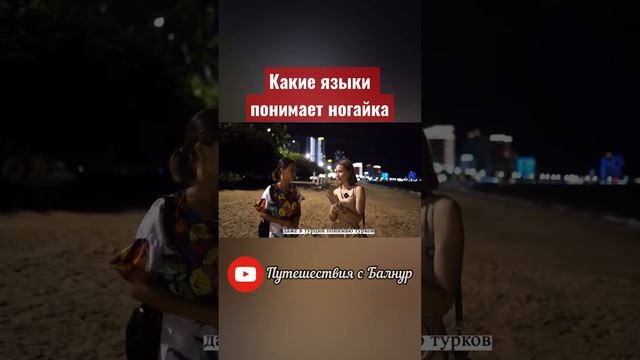 Какие тюркские языки вы можете понять? смотреть онлайн