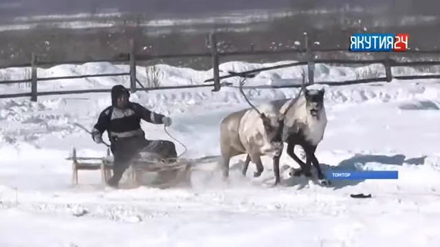 Өймөкөөҥҥө таба сүүрдүүтүн кыайыылааҕар «Буран» туттардылар