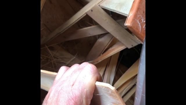 Расщепляем по слоям( приросту) сосна. смотреть онлайн