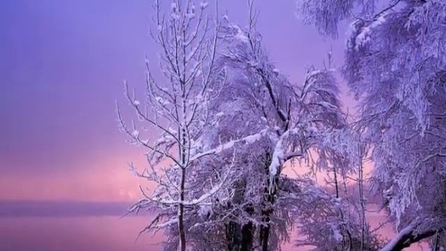 Маргарита Сосницкая. Молоко Жаръ-птицы смотреть онлайн