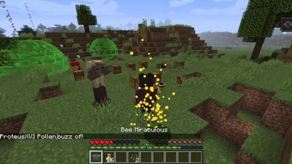 Miracucraft - Mod for 1.16.5