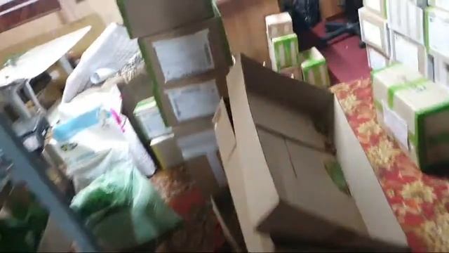ДЕЛАЕМ РЕВИЗИЮ смотреть онлайн