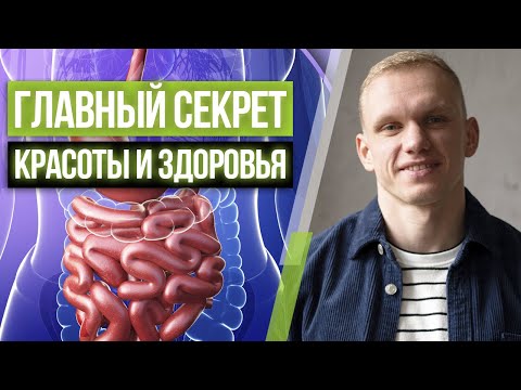 Здоровый ЖКТ — залог красоты и здоровья! / Как устроена система пищеварения?