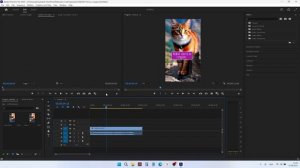 Решение. Premiere не рендерит с помощью GPU (Hardware)