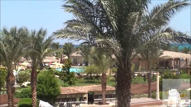 Amway Blue Beach Resort & Spa, Egyiptom смотреть онлайн