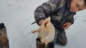 Проверяем работу калибра .410 по птице