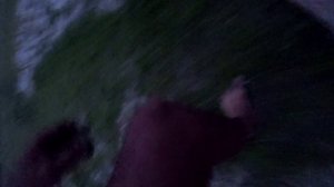 Ловля сома на червя с берега, рыбалка на сома 2020 на Дону, ловля сома на закидушку!