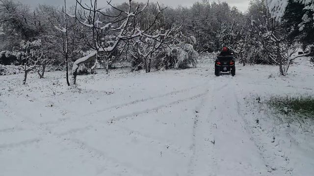 QUAD CFORCE800 AMERICA sulla Neve - Eugenio Lo Gullo. смотреть онлайн