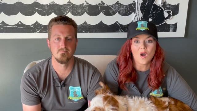 Ask a Puppy Trainer Episode #32 Crate vs. Puppy Room: What's Better for Your Puppy? смотреть онлайн