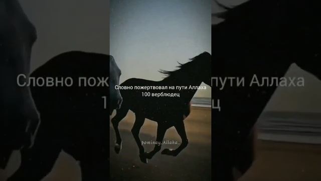 Поминание Аллаха смотреть онлайн